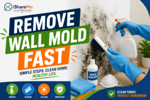 how to remove molds on walls