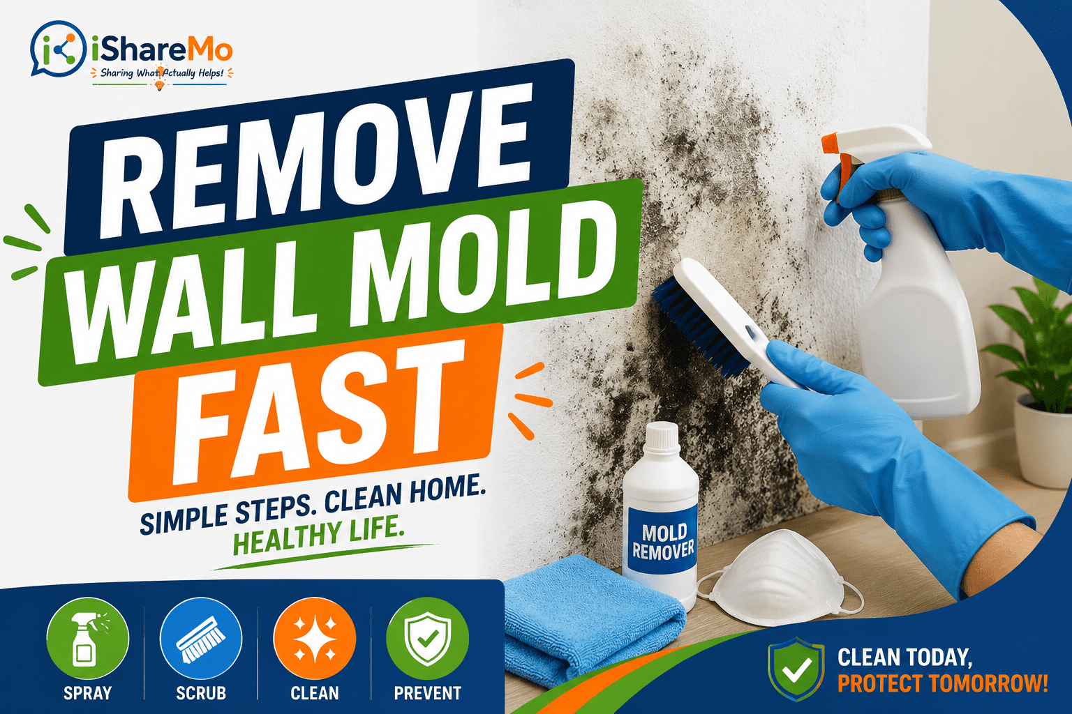 how to remove molds on walls